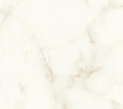 Atlas Concorde Marvel Shine Calacatta Delicato SILK - RTT Boden